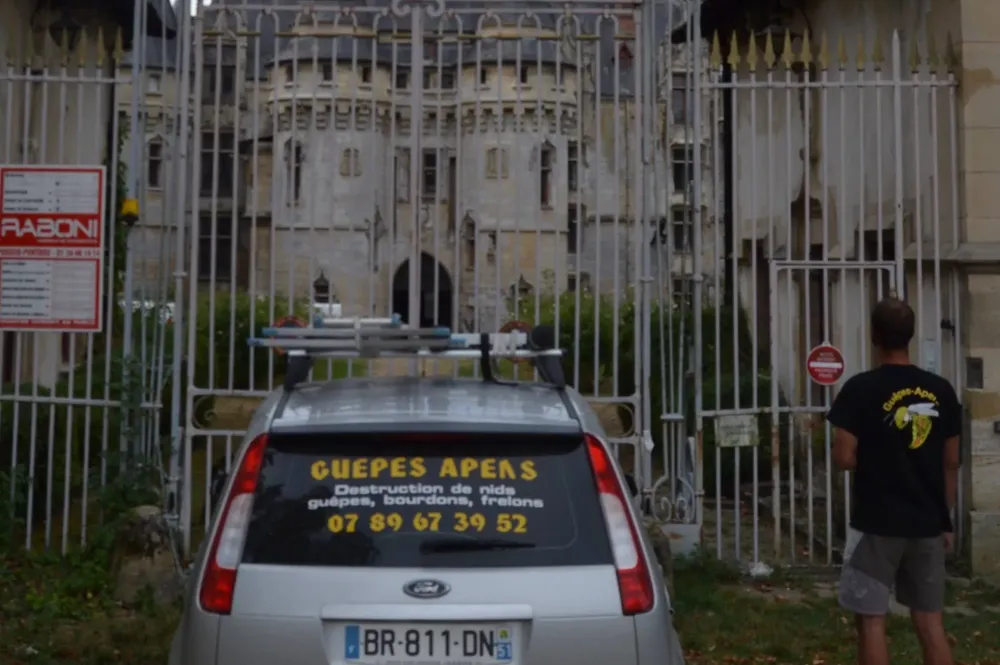 guepes apens (3)